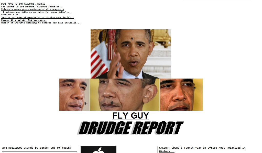 Flies land on Obama's face photo Obama_Fly_Guy_zps25506b2e.jpg