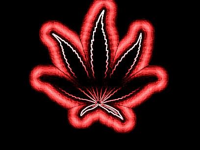 Cool  Wallpapers on Marijuana Leaf Wallpaper Thumb32052 Jpg Picture By Michael 1997 2009