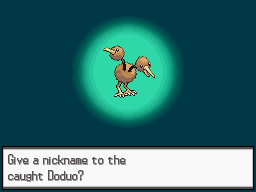 easter14doduo.png