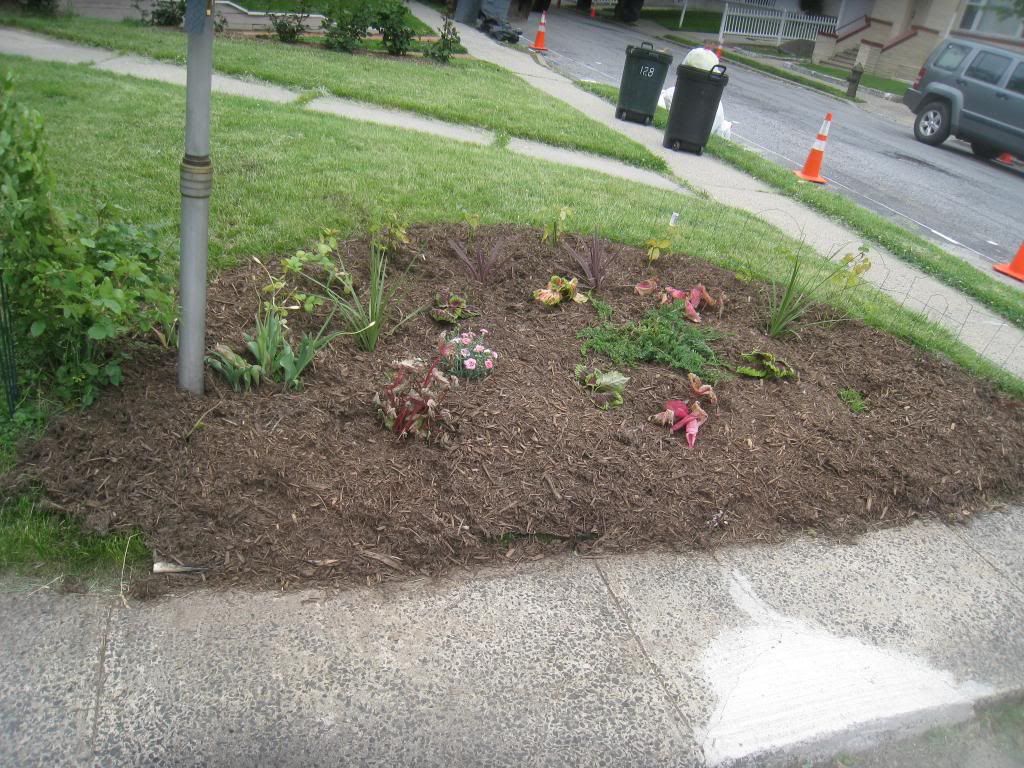  photo IMG_5560_zps8c4b0b27.jpg