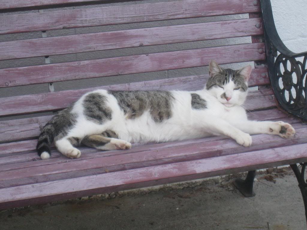  photo IMG_5581_zpsd88f8b7c.jpg