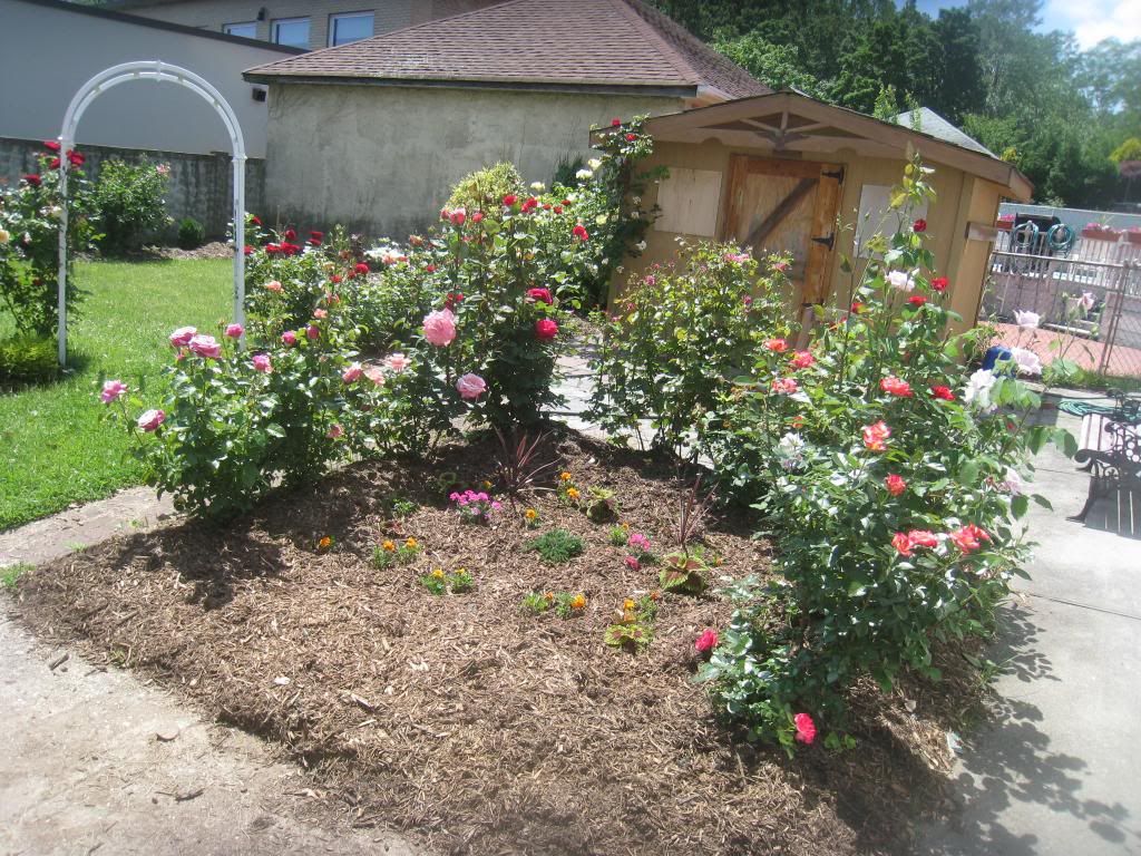  photo IMG_5608_zps3320d94e.jpg