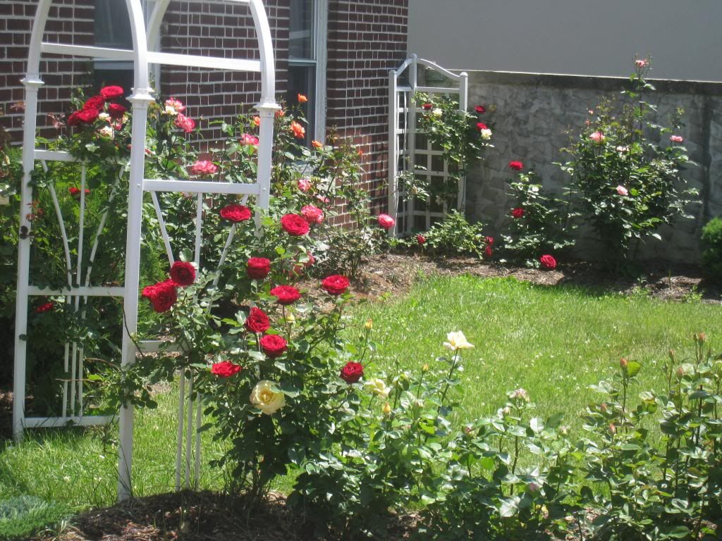 photo IMG_5622_zps34408f22.jpg