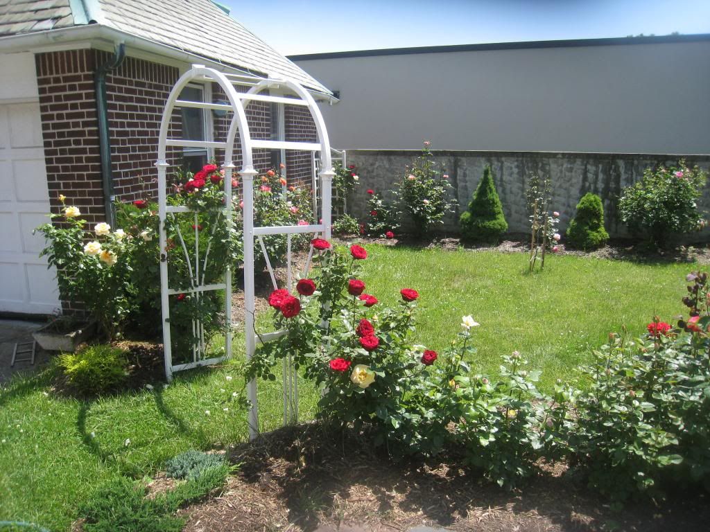  photo IMG_5624_zps92e1fce7.jpg