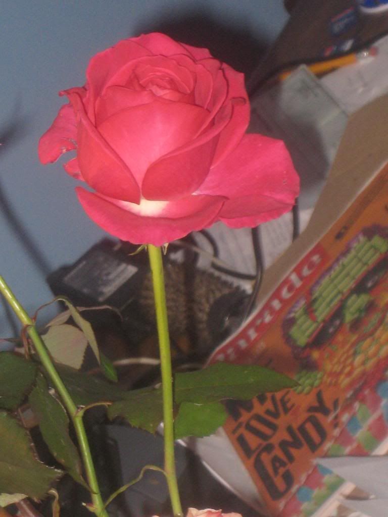  photo IMG_5942_zps4b70f947.jpg