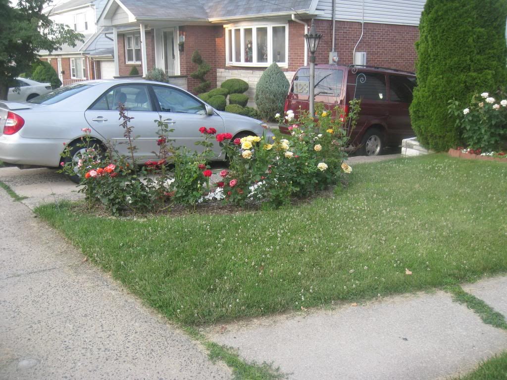  photo IMG_6130_zps53fcb3eb.jpg