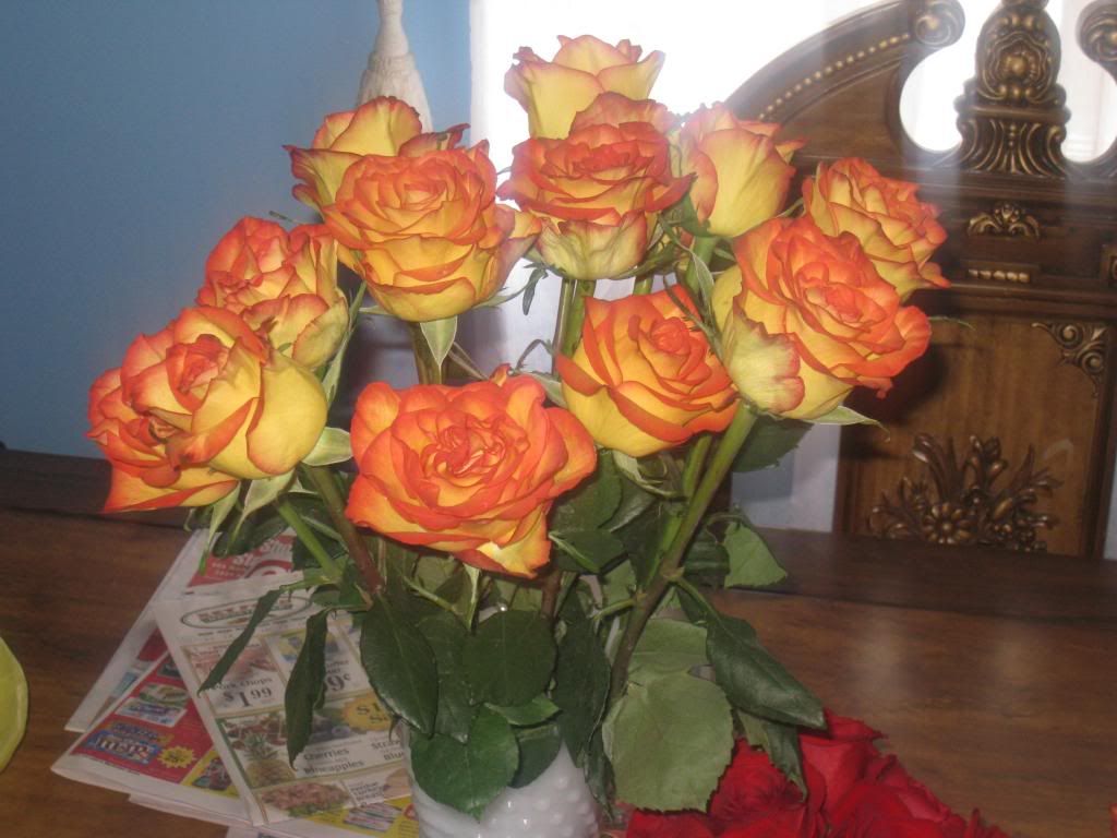  photo IMG_4859_zps946ff46f.jpg