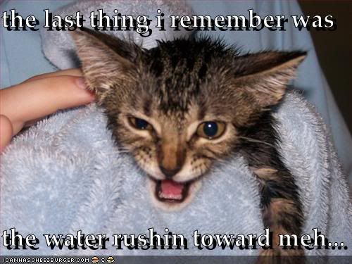 Forum Image: http://i284.photobucket.com/albums/ll10/JustinJakeLong/LOL%20Cats/funny-pictures-cat-had-a-bath.jpg