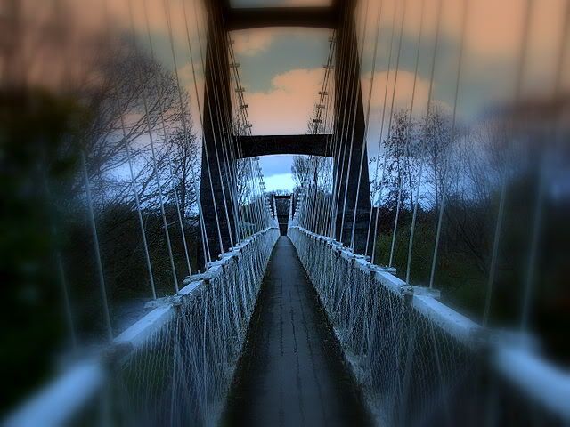 bridge mood morning park