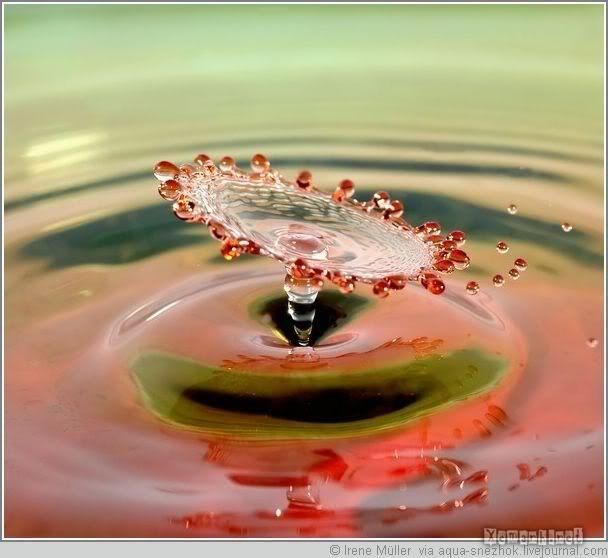 water_drop_12.jpg