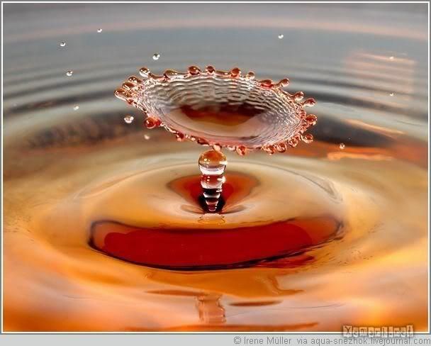 water_drop_18.jpg