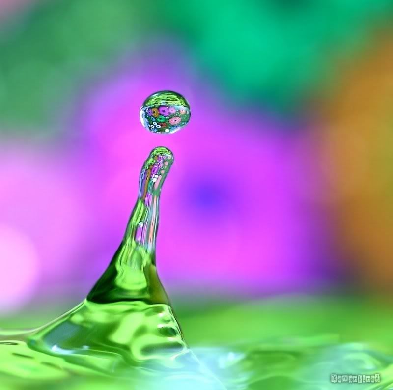 water_drop_24.jpg