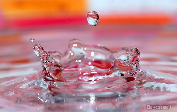 water_drop_65.jpg