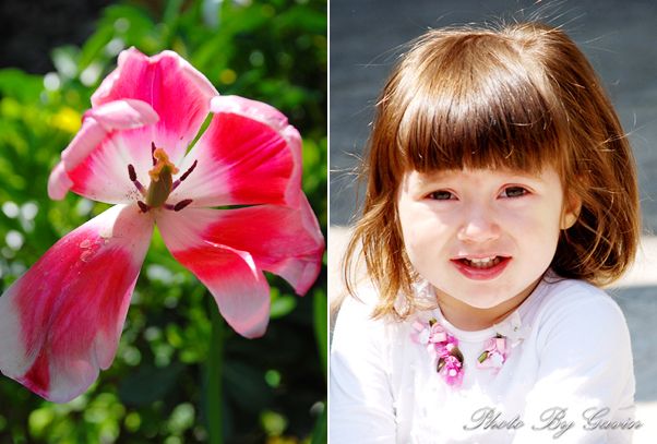 【土耳其】 <wbr>花儿与少年