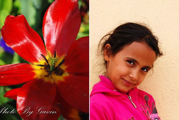 【土耳其】 <wbr>花儿与少年