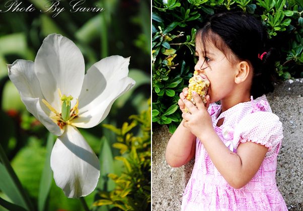 【土耳其】 <wbr>花儿与少年