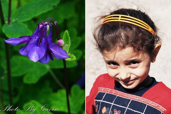 【土耳其】 <wbr>花儿与少年