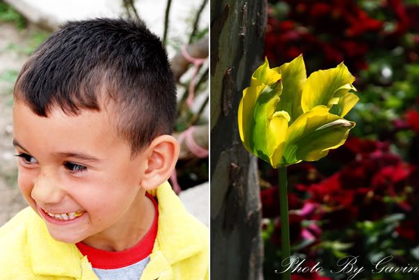 【土耳其】 <wbr>花儿与少年