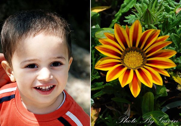 【土耳其】 <wbr>花儿与少年