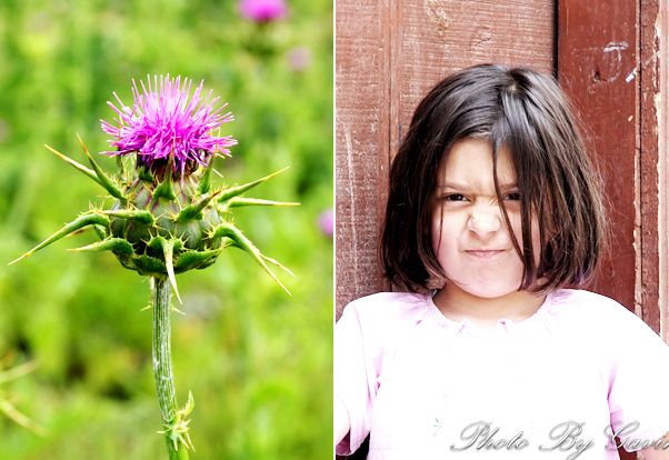 【土耳其】 <wbr>花儿与少年