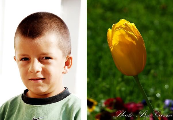 【土耳其】 <wbr>花儿与少年