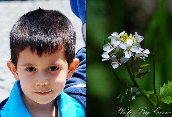 【土耳其】 <wbr>