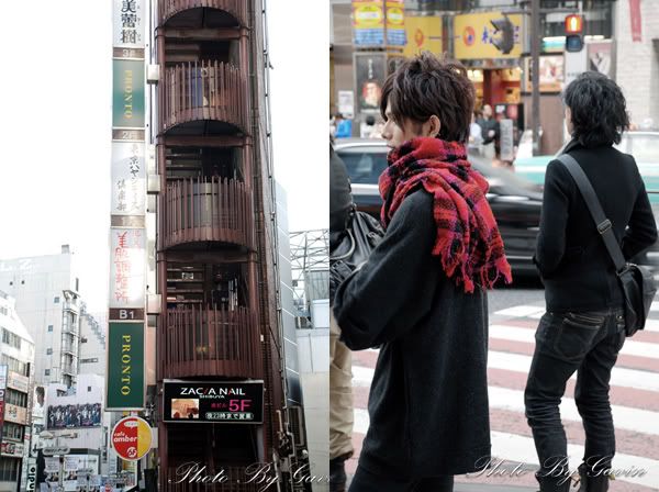 【日本】新宿与涩谷