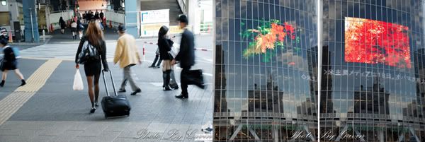 【日本】新宿与涩谷