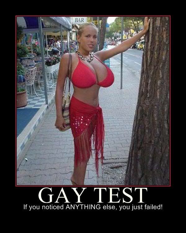 gaytest2.jpg