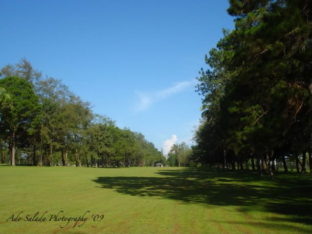 DSC04199 - Show Posts - Mulligan DSC04199 - Show Posts - Mulligan
