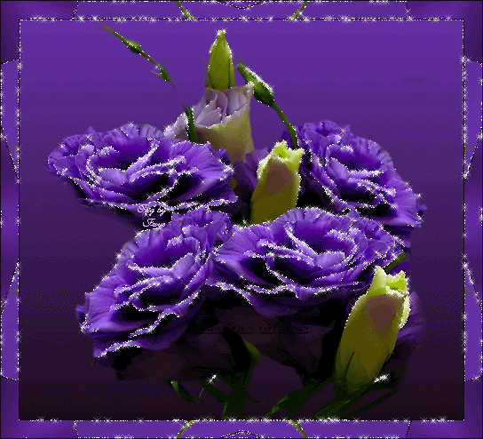 1171081lnfcsn8fpt.gif picture by lieskespring