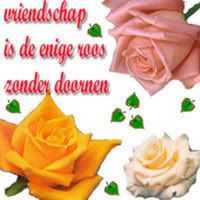 gedicht Pictures, Images and Photos