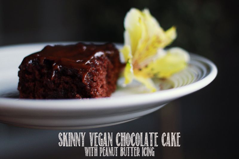Home is with You // Skinnygirl Vegan Chocolate Cake with Peanut Butter Icing