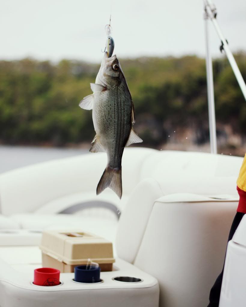 Fish Home is with You // Catching fish