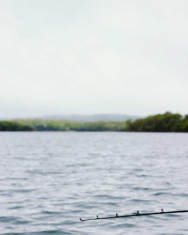 foggy Home is with You // lake