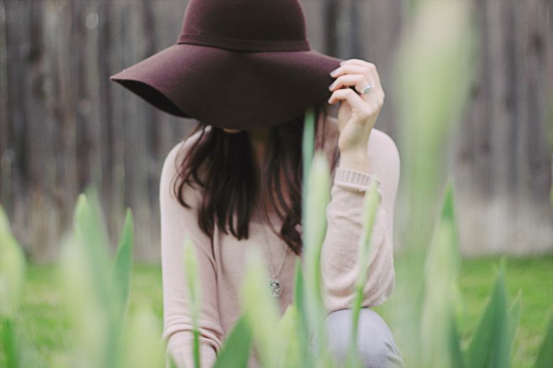 tulip Home is with You // owl