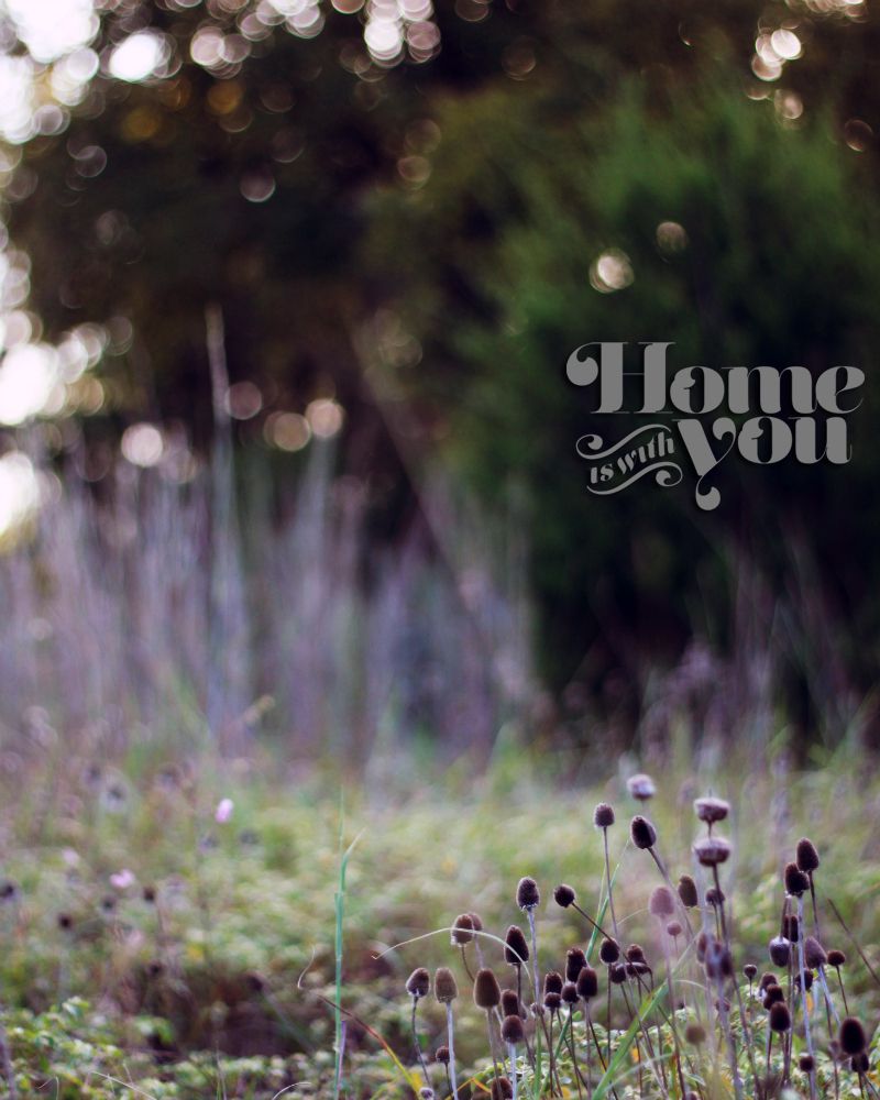 Home is with You