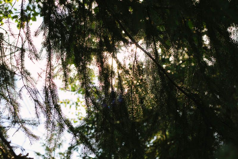 adventure Currently ≫≫ Home is with You