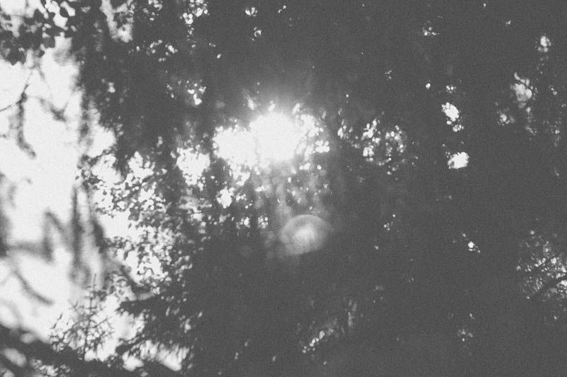 nature Currently ≫≫ Home is with You