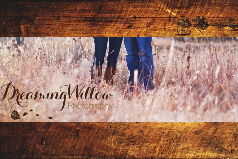 Dreaming Willow Photography // Couples Session