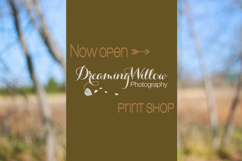 Dreaming Willow Photography // Print Shop