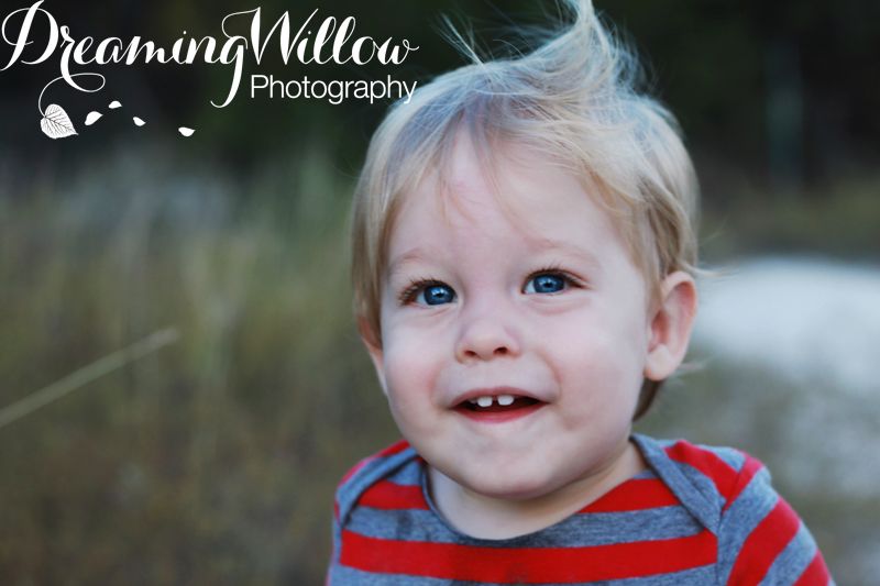 Dreaming Willow Photography // family photo session