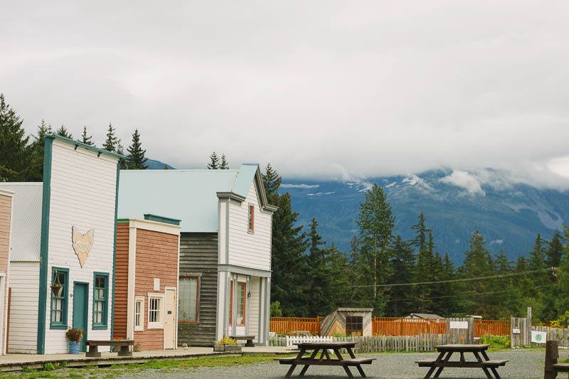 white fang Move to Juneau Part 2 ↠ Haines, Alaska.