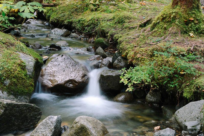 stream Mendenhall Glacier Trails // Home is with You
