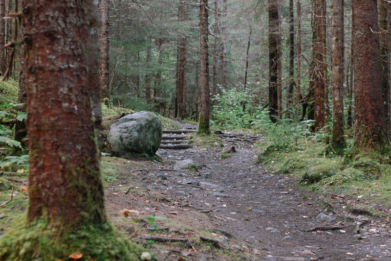 juneau hike Mendenhall Glacier Trails // Home is with You