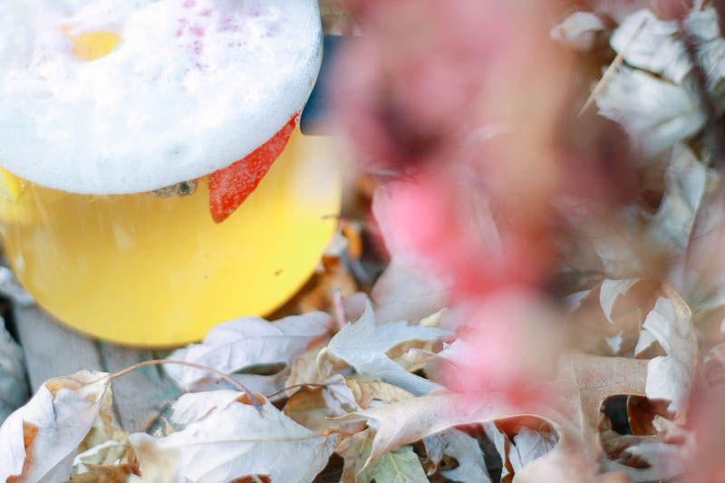 Fall Beer Recipe | Mallorie Owens