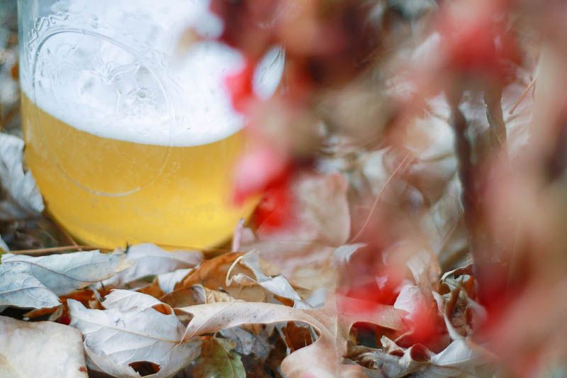 Fall Beer Recipe // Home is with You