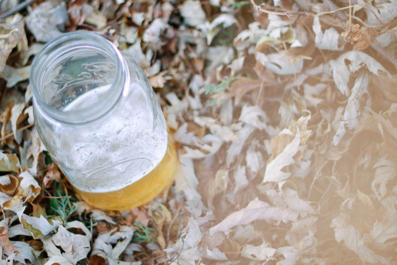 Fall Beer Recipe // Home is with You