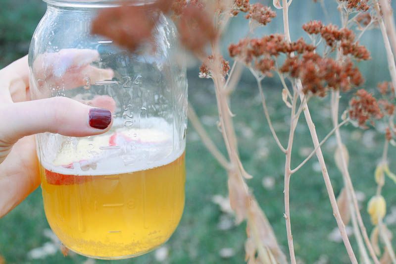 Fall Beer Recipe // Home is with You