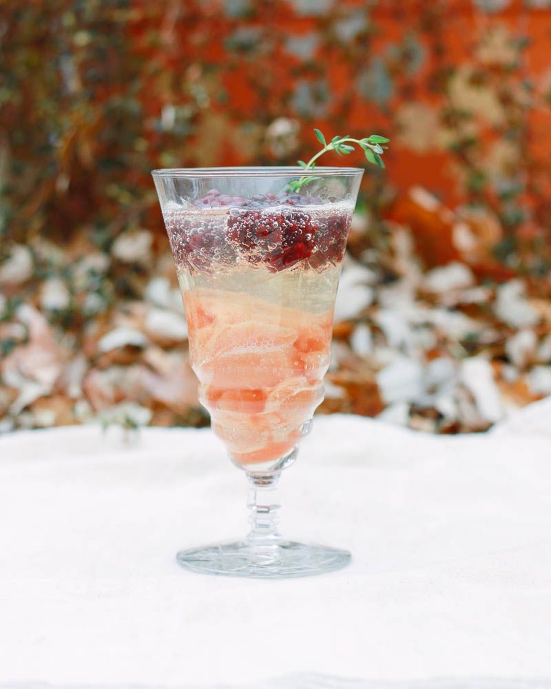 blood orange sherbert Prosecco Float Recipe // Home is with You